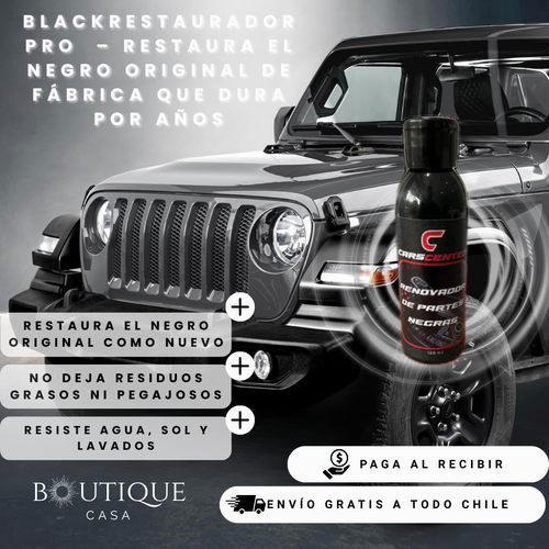 Black Restaurador Pro
