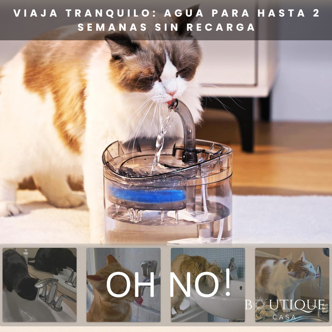 Dispensador Automático de Agua | HidrataPet™