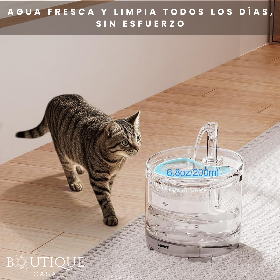 Dispensador Automático de Agua | HidrataPet™