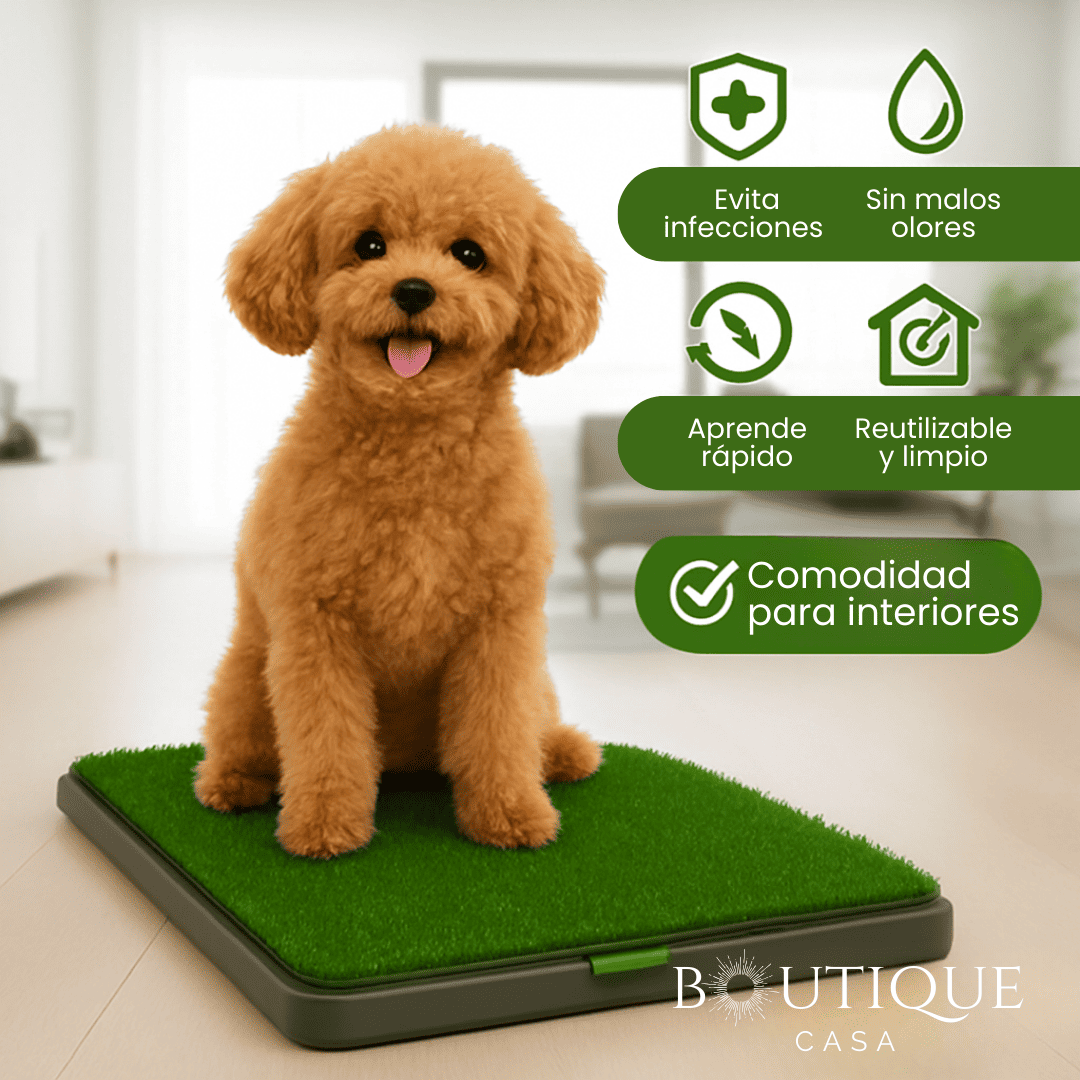 Tapete Entrenador para Perros | CleanGrass™
