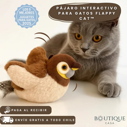 Pájaro interactivo para gatos | Flappy Cat™