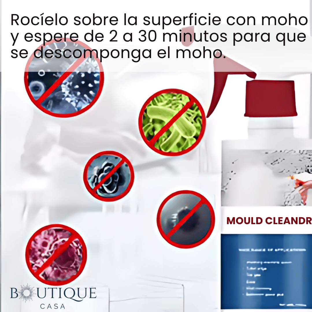 Espuma Removedora de Moho | CleanFoam™