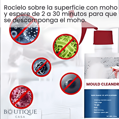Espuma Removedora de Moho | CleanFoam™