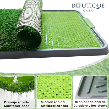 Tapete Entrenador para Perros | CleanGrass™