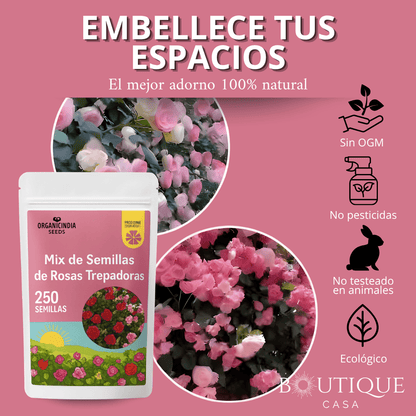 Mix 250 Semillas Rosas Trepadoras | RosaVert™