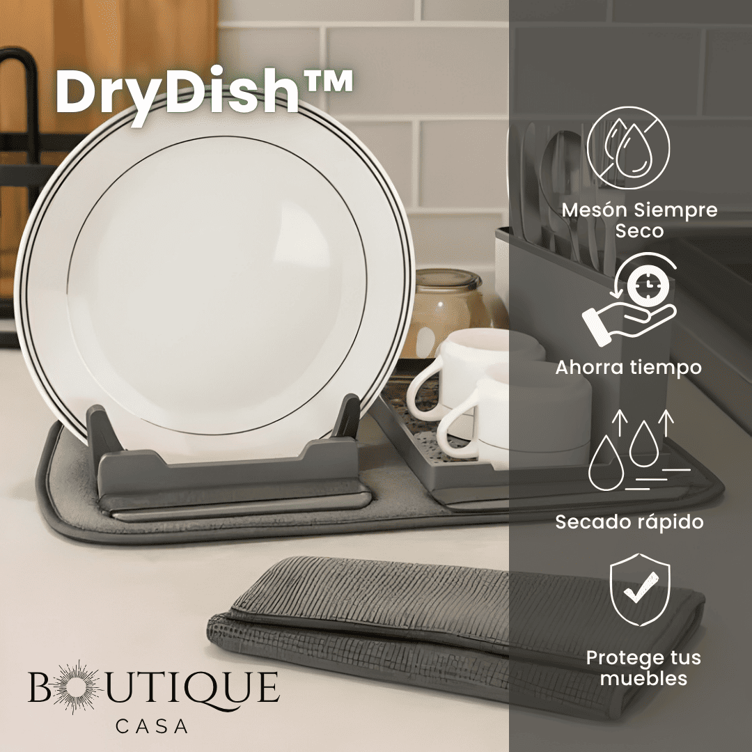Escurridor Loza con Base Recolector | DryDish™