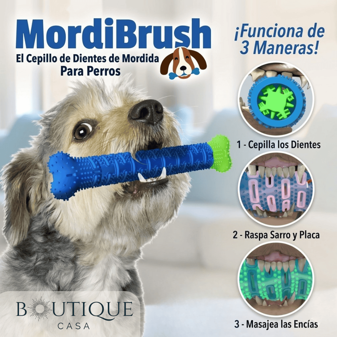 Cepillo de Juguete para Perros | MordiBrush™