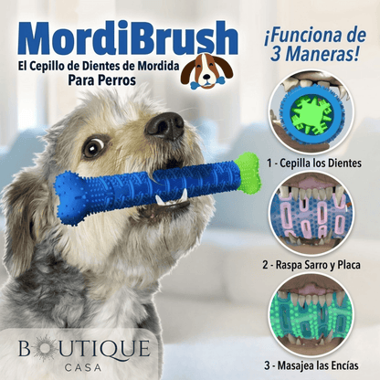 Cepillo de Juguete para Perros | MordiBrush™