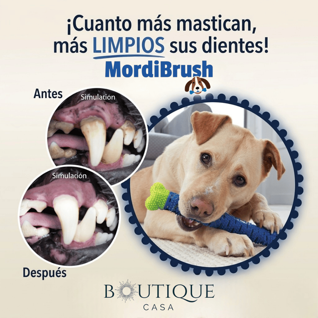 Cepillo de Juguete para Perros | MordiBrush™
