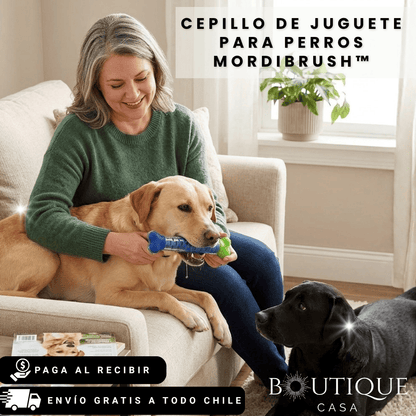 Cepillo de Juguete para Perros | MordiBrush™